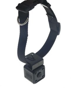 dog collar camera